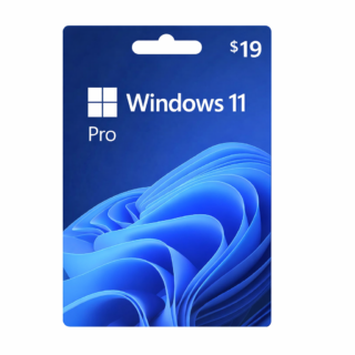 Windows 11/10 pro OEM